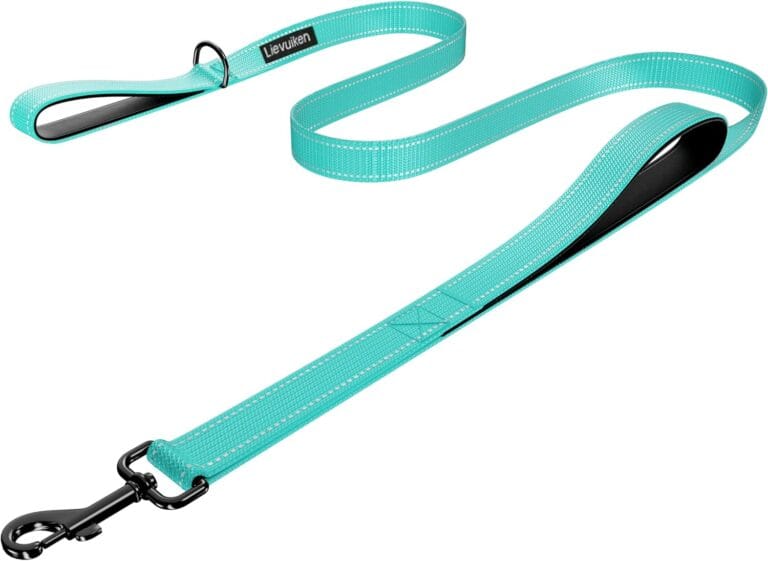 Dog Leash 5ft Long, Double Handle Dog Leash for Safety Control Training, Heavy Duty Dog Leads with Traffic Padded Handles, Reflective Leashes for Small Medium Large Dogs(5ft, Turquoise)