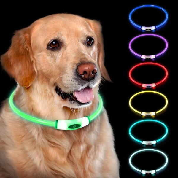 Lighted Dog Collar, Rechargeable 7 Colors Changing Light Up Dog Collar, IP67 Waterproof LED Collar Glow in The Dark, Make Pet Visible and Safety for Night Walking,Outdoor, for All Dogs