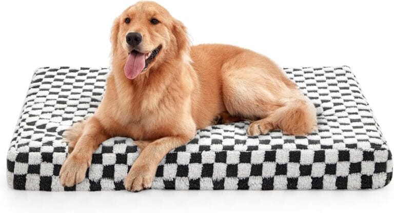 JOEJOY Dog Bed for Large Dogs, XLarge Orthopedic Dog Bed with Removable Washable Cover, Cute Modern Plush & Memory Egg Crate Foam Dog Bed, 42 x 28 inch, Grey