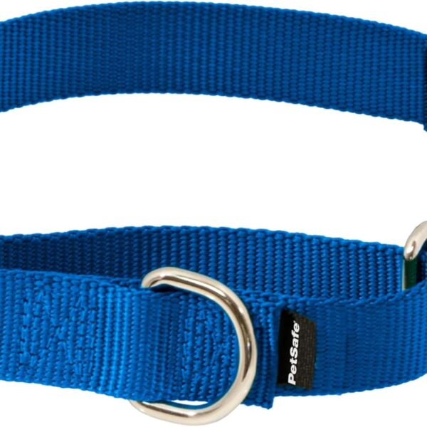 PetSafe Martingale Collar with Quick-Snap Buckle - Adjustable No-Slip Quick Release Dog Collar - Everyday Wear No-Pull Training Aid - 1" Wide - Large - Royal Blue