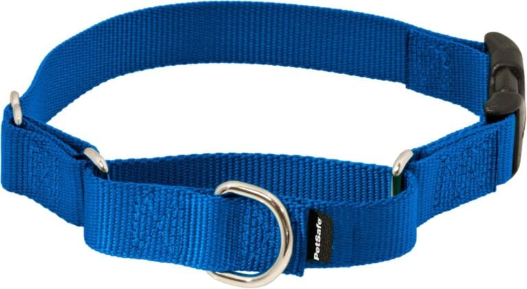PetSafe Martingale Collar with Quick-Snap Buckle - Adjustable No-Slip Quick Release Dog Collar - Everyday Wear No-Pull Training Aid - 1" Wide - Large - Royal Blue