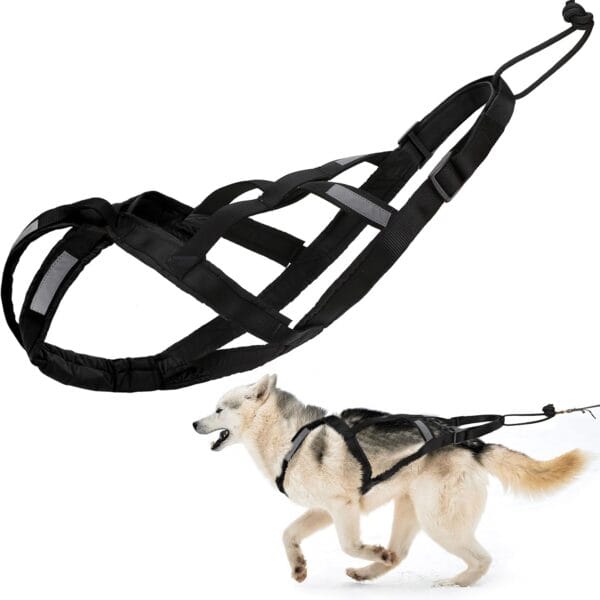 Dog Pulling Harness (L, Black) X Back Mushing Husky Harness for Sled Exercise, Pet Sledding, Bikejoring, Skijoring, Running, Canicross Scootering, for Average Sized Dog About 45-50LBS