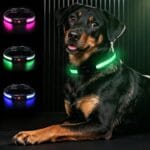 Light Up Dog Collar-Rechargeable & Long-Lasting Power LED Dog Collar Lights for Night Walking, Waterproof & Safety Glowing Collars for Large Dogs [Green-L]