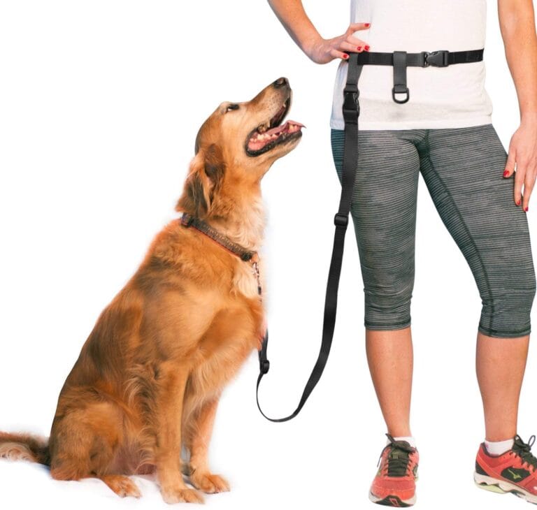 The Buddy System Adjustable Hands Free Dog Leash, Hand-Free Leash for Running, Jogging, Walking, Hiking and Training Service Dogs, Versatile All Dog Sizes - Made in USA - Regular, Black