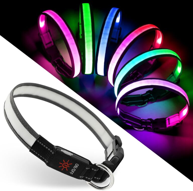 Light Up Dog Collar, Multicolor LED Dog Collar with 7 Lighting Modes - USB-C Rechargeable, Real-Time Battery Indicator, Waterproof & Adjustable Glow Collar for Safe Night Walks (L)