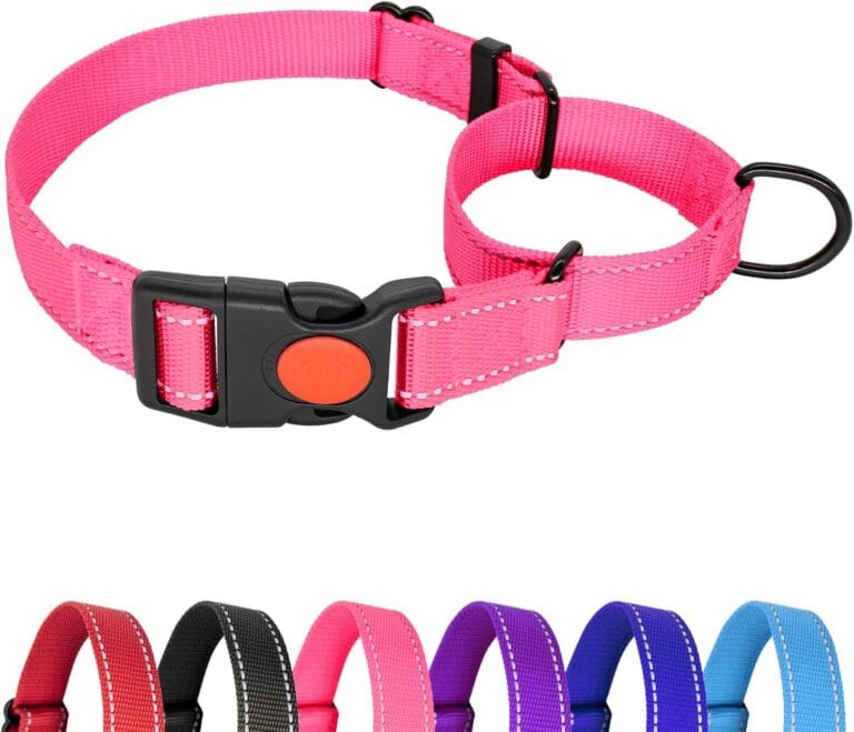 Martingale Collar for Dogs, No Slipping Out Reflective Puppy Collar with Quick Release Buckle, Heavy Duty Adjustable Dog Collar with Safety Lock for Medium Breed Dogs, Pink, M
