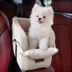 Dog Car Seat Centre Console Dog Booster Dog Car Seat Small Dog Cat Booster Seat for Dogs Cats Pets Up to 13lbs