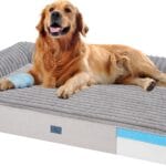 Veehoo Orthopedic Dog Bed for Large Senior Dogs, 7 Inch Thick XL Memory Foam Dog Bed with L Shaped Bolsters, Orthopedic Pet Couch with Waterproof Liner & Removable Washable Cover, 48"x30"x7"