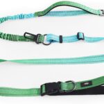 Hands-Free Heavy Duty Bungee Dog Leash, No Pull Running Waist Leash for Walking, Training with Car Seatbelt, Adjustable 4-6FT, Reflective, Dual Handles, Metal Safe Lock (OCEANCHILL)
