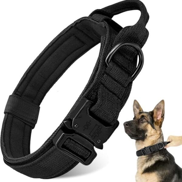 Tactical Military Dog Collar - Adjustable Heavy Duty Metal Buckle Nylon Collar with Control Handle for Small to Large Dogs (Black, L)