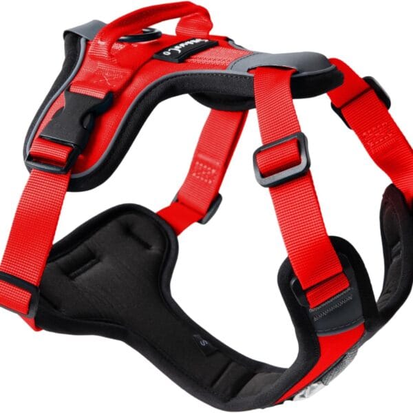 ShawnCo Basecamp Dog Harness, No-Pull Pet Vest with 3 Leash Clips, Padded, Reflective, Lightweight and Adjustable Harness with Handle for Small, Medium and Large Dogs (Mustang Red, L)