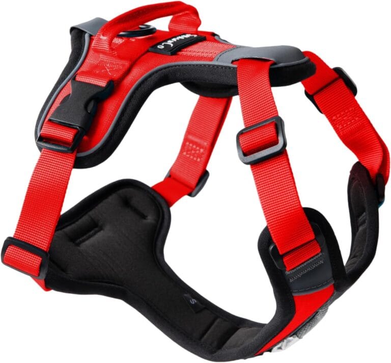ShawnCo Basecamp Dog Harness, No-Pull Pet Vest with 3 Leash Clips, Padded, Reflective, Lightweight and Adjustable Harness with Handle for Small, Medium and Large Dogs (Mustang Red, L)