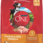 Purina ONE Chicken and Rice Formula Dry Dog Food - 31.1 lb. Bag