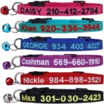 Cat Collar,Personalized Embroidered Nylon Cat ID Collars with Bell - Custom Text with Pet Name and Phone Number  (Cat Collar)