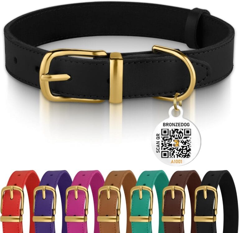BRONZEDOG Leather Dog Collar with QR ID Tag Basic Pet Collars for Small Mini Dogs Cats Puppies (9-11 Inch (Pack of 1), Black & Gold Buckle)