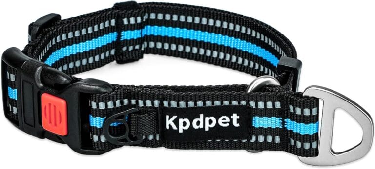 Martingale Collar for Dogs Reflective Collar with Quick Release Buckle, Adjustable Walking and Training for No Slip Dog Collar, Blue, S