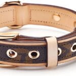 blu&ben Leather Dog Collars Classic Soft Padded Leather Stylish Breathable Collar for Small Medium Large Dogs