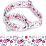 Martingale Dog Collars - Flower Multicolor Cute Patterns, Adjustable Nylon Training Dog Collar Suitable for Boy and Girl Dogs Medium Large Dogs (8, M)