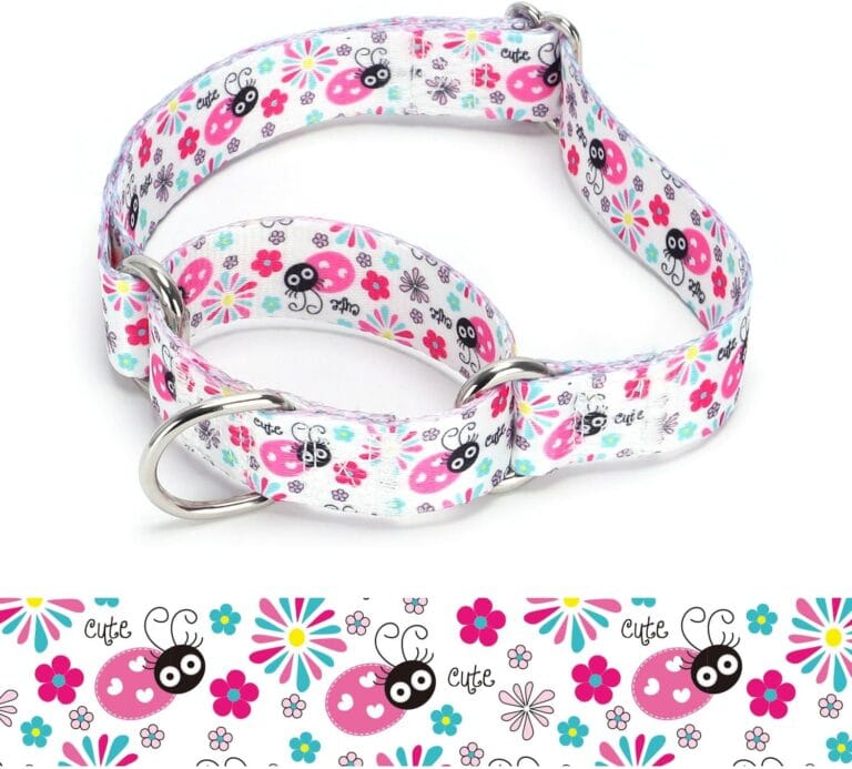 Martingale Dog Collars - Flower Multicolor Cute Patterns, Adjustable Nylon Training Dog Collar Suitable for Boy and Girl Dogs Medium Large Dogs (8, M)