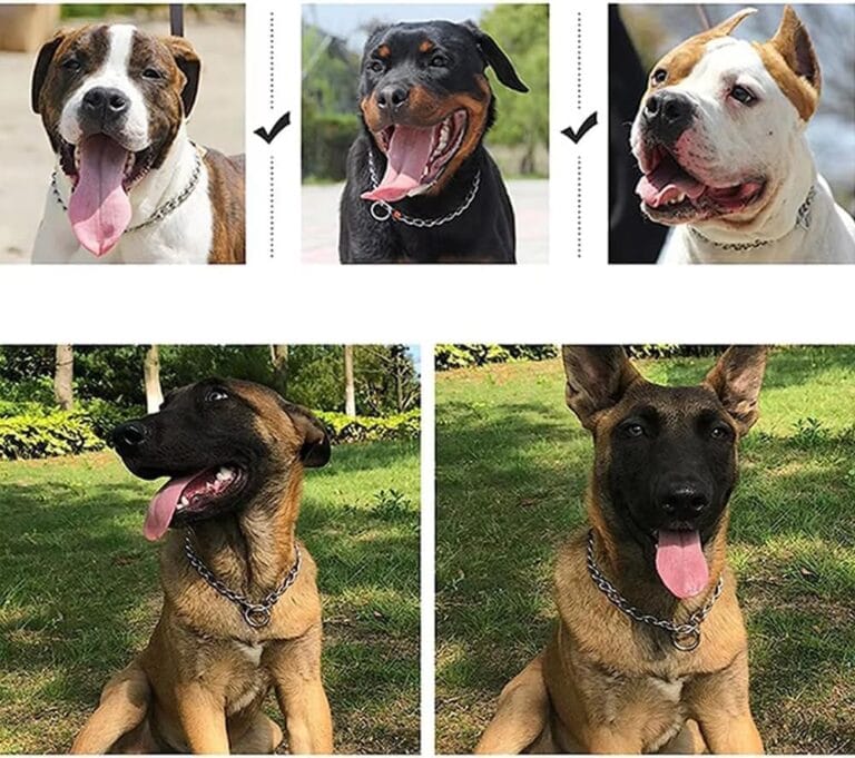 Chain Dog Choke Collars for Medium Dogs, Metal Slip Link Training Heavy Duty Dog Choker Collar Martingale Puppy Collars for XXS XS Small Medium Large Big XL Breed Dogs (Silver,L)