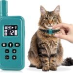 Cat Shock Collar Smallest Cat Training Collar with Remote 2000ft Range Electric Cats Bark Collar with Shock, Vibration, Beep 3 Modes to Stop Meowing, Waterproof, Rechargeable,Cyan