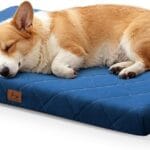 Orthopedic Dog Beds Large Sized Dogs, Waterproof Dog Crate Bed with Removable Washable Cover, Egg Crate Foam Pet Bed Mat, 35"x22"