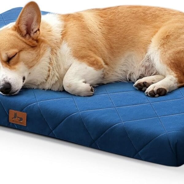 Orthopedic Dog Beds Large Sized Dogs, Waterproof Dog Crate Bed with Removable Washable Cover, Egg Crate Foam Pet Bed Mat, 35"x22"
