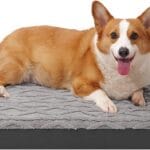 Orthopedic Dog Bed - Waterproof & Machine Washable Plush Pet Bed with Non-Slip Bottom, Soft Memory Foam Mattress for Small Dogs and Cats, 23x17 Inch, Grey