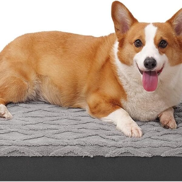 Orthopedic Dog Bed - Waterproof & Machine Washable Plush Pet Bed with Non-Slip Bottom, Soft Memory Foam Mattress for Small Dogs and Cats, 23x17 Inch, Grey