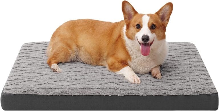 Orthopedic Dog Bed - Waterproof & Machine Washable Plush Pet Bed with Non-Slip Bottom, Soft Memory Foam Mattress for Small Dogs and Cats, 23x17 Inch, Grey