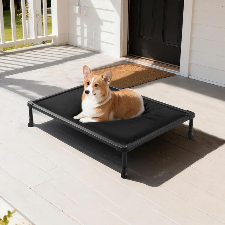 Veehoo Chew Proof Elevated Dog Bed, Durable Raised Pet Cot with Soft PP Cotton-Filled Waterproof Mat, Washable Padded Cot for Indoor, Outdoor & Camping, 35-Inch, Black