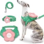 VETRESKA Flora Dog Harness, Leash and Collar Set, No Pull Dog Vest Harness for Walking and Training, Adjustable, Easy Control and Soft Padded Pet Harness and Backpack for Small Medium Large Dogs, S