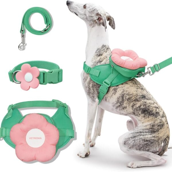 VETRESKA Flora Dog Harness, Leash and Collar Set, No Pull Dog Vest Harness for Walking and Training, Adjustable, Easy Control and Soft Padded Pet Harness and Backpack for Small Medium Large Dogs, S