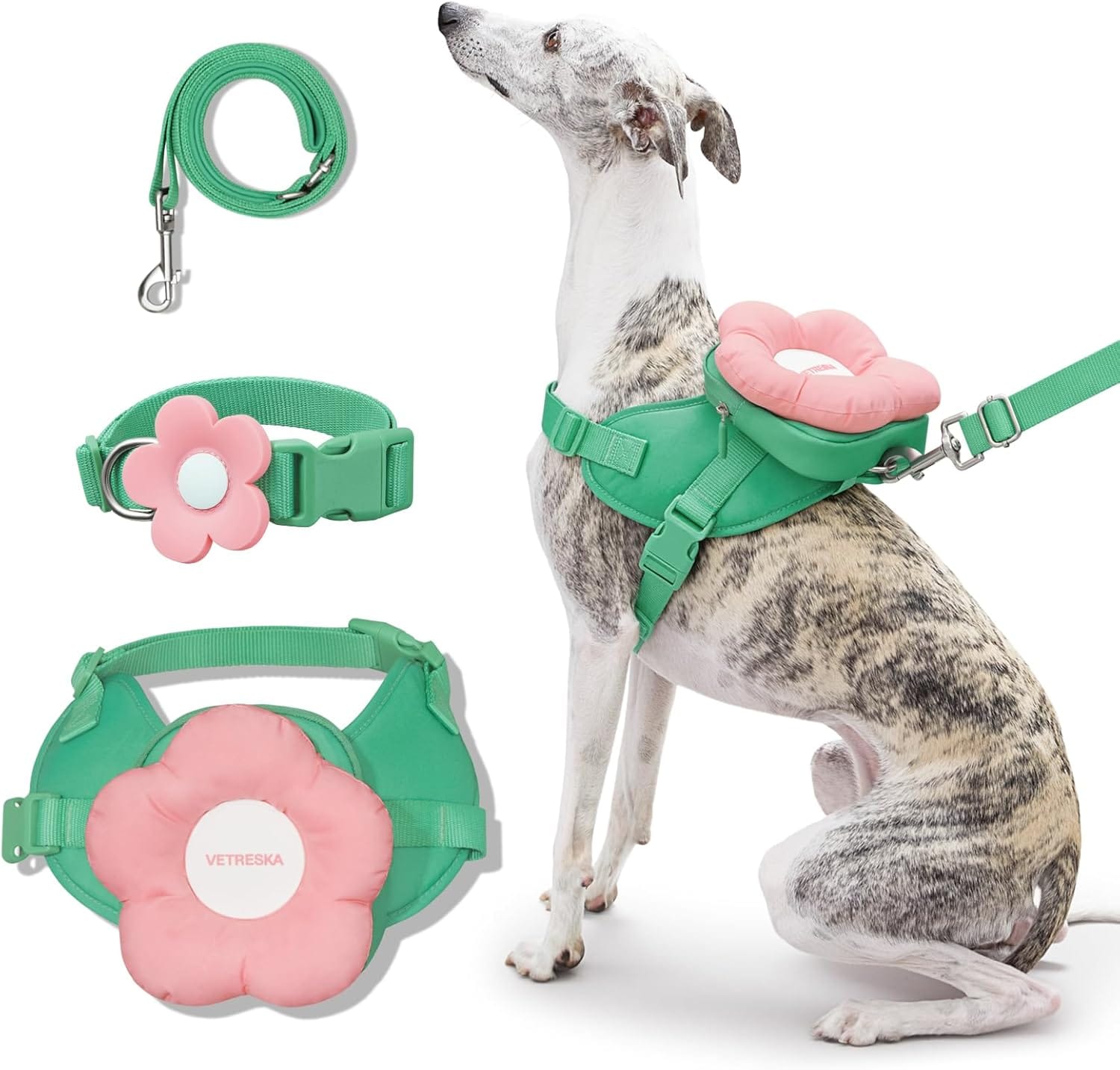 VETRESKA Flora Dog Harness, Leash and Collar Set, No Pull Dog Vest Harness for Walking and Training, Adjustable, Easy Control and Soft Padded Pet Harness and Backpack for Small Medium Large Dogs, S VETRESKA Flora Dog Harness, Leash and Collar Set, No Pull Dog Vest Harness for Walking and Training, Adjustable, Easy Control and Soft Padded Pet Harness and Backpack for Small Medium Large Dogs, S