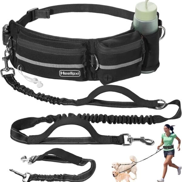 Hands-Free Dog Leash With Pouch, Waist Attachment for Walking Two Dogs, Reflective Stitching, Dual Handle, Bungee Retractable Running for Medium to Large Dogs Black