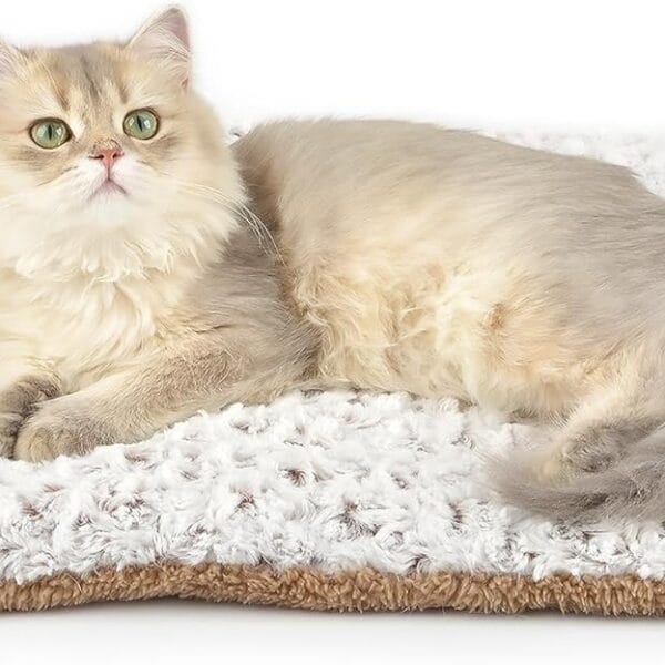 Self Warming Cat Bed, 24" x 18" Self Heating Pet Pad, Double Sided Heated Dog Mat Thermal Blanket for Large Kittens Small Puppy
