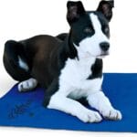 K&H Pet Products Coolin' Pet Pad Dog Mat, Portable Dog Cooling Mat for Travel or in Home, Perfect for Carriers, Crates, Outdoor Houses, Yards, Porches, Pet Beds & More - Large 36 X 20in Chill Blue