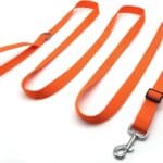 TAIAN Adjustable Nylon Dog Leash, 10 Foot Long Dog Leashes for Medium Large Dogs Orange