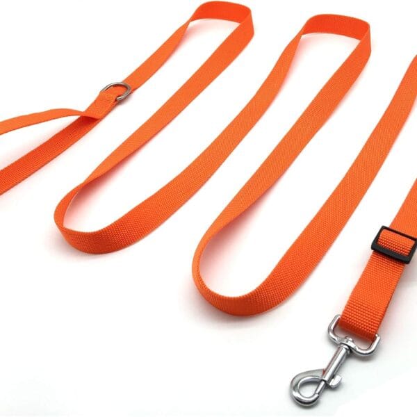 TAIAN Adjustable Nylon Dog Leash, 10 Foot Long Dog Leashes for Medium Large Dogs Orange