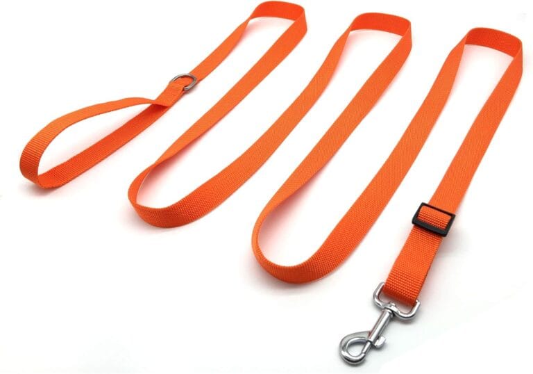 TAIAN Adjustable Nylon Dog Leash, 10 Foot Long Dog Leashes for Medium Large Dogs Orange