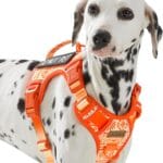 Tactical Dog Vest Harness No Pull Easy Walker Pet Harness for Walking Training Hiking for M Sized Dogs with 2 Leash Clips 3 Buckles Reflective Strip Soft Padded Handle, Tribal, French Bulldog