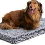 Stoutwool Indestructible Dog Bed - Fluffy Chew Proof Dog Crate Pad - Tough Kennel Pad for Aggressive Chewers - Washable, Ideal for Small Breeds & Fits 24-Inch Crate - 23"x16", Charcoal