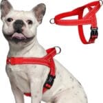 rabbitgoo Dog Harness No Pull, Quick Fit for Small Dogs with Soft Padded Handle, Chest Adjustable Reflective Pet Vest, No Choke Escape Proof for Walking Training, Red M
