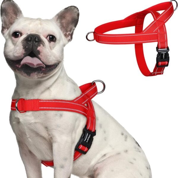 rabbitgoo Dog Harness No Pull, Quick Fit for Small Dogs with Soft Padded Handle, Chest Adjustable Reflective Pet Vest, No Choke Escape Proof for Walking Training, Red M