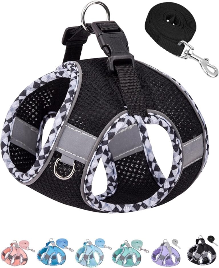 Petank Dog Harness for Small Medium Dogs No Pull, Puppy Harness and Leash Set, Step in Dog Harness for Walking, Running, Training(Black, S)