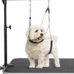 Adjustable Dog Grooming Arms with Anti-Slip Powerful Metal Clamp,Portable Pet Grooming Arm for Table with 1 Loop Noose & Two No Sit Haunch Holder,Grooming Restraint for Small Medium Dogs/Cats at Home