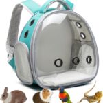 Portable Travel pet Backpack Carrier Hamster Bag Guinea Pig Bird Small Dog cat Turtle Carrier Rabbit Cage Squirrel Bearded Dragon Breathable Hangbag (Green)