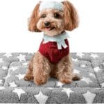 Dog Bed Mat - Dog Crate Pad - Reversible Dog Mat for Pet Comfort - Soft Bed Crate Pads with Dual-Sided Design for All Seasons - Durable, Machine Washable Mat for Crates, Travel, and Home