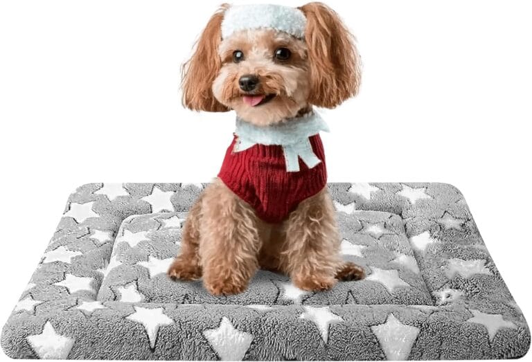 Dog Bed Mat - Dog Crate Pad - Reversible Dog Mat for Pet Comfort - Soft Bed Crate Pads with Dual-Sided Design for All Seasons - Durable, Machine Washable Mat for Crates, Travel, and Home