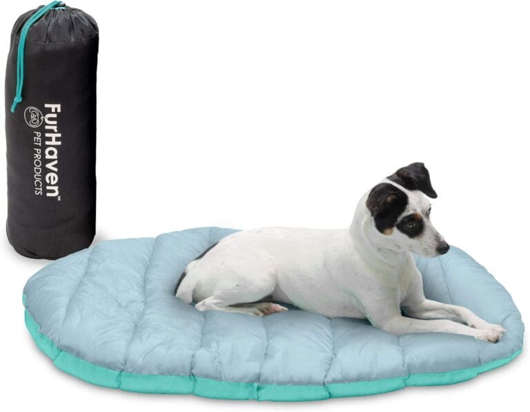 Furhaven Outdoor Travel Dog Bed for Small Dogs w/ Carry Bag, Washable & Foldable, Great for Crates & Kennels - Trail Pup Travel Pillow Mat w/ Stuff Sack Bag - Aqua/Granite Gray, Small